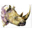 Rhinoceros-reproduction d’art-29495634-34992753