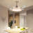 Bergstein 42'' Ceiling Fan with LED Lights