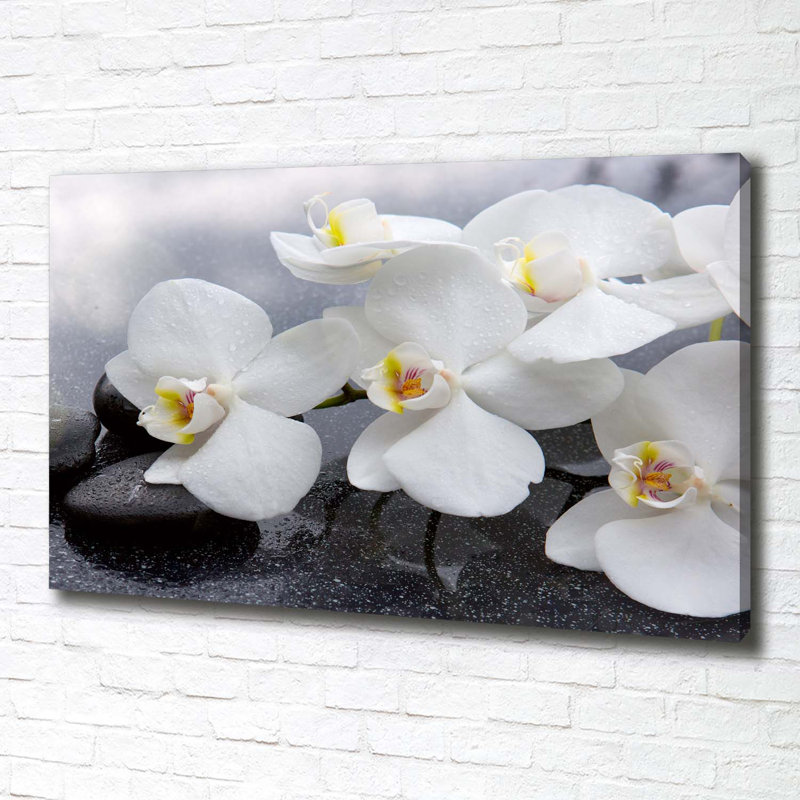 Orchid - Wrapped Canvas Print