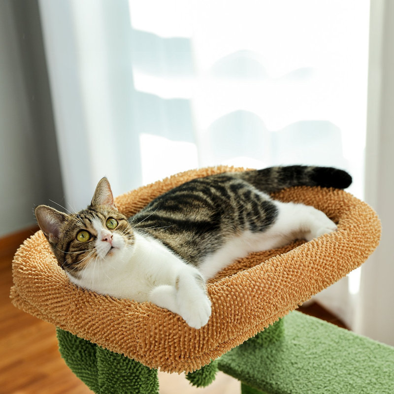 Burnace 35.6'' H Cat Tree