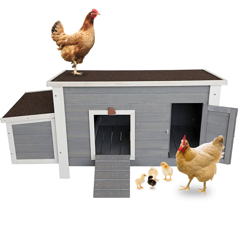 Poulailler avec nichoir 10,65 pieds carrés Cerine, Gris