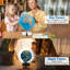 Tabletop Globe