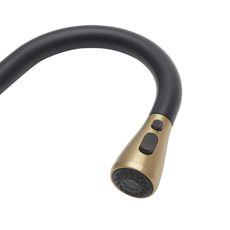 Belfry Kitchen Orin Kitchen Faucet, Matte Black/Gold