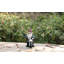 Peace Biker Gnome