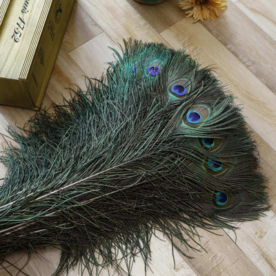 Natural 23-28'' Long Peacock Feathers (40-pack)