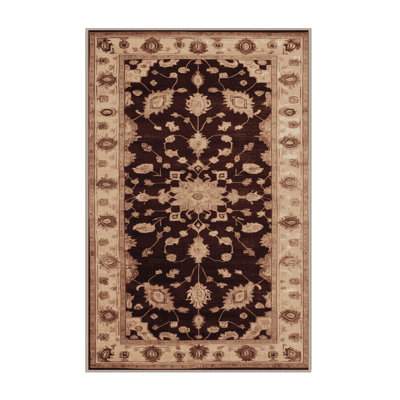 Machine Washable Overdyed Brown Area Rug