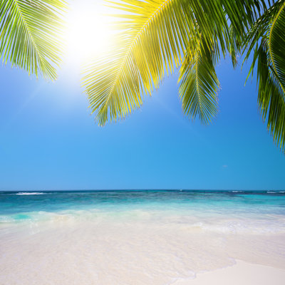 «Tropical Beach» par Cgiheart - photographie sur toile tendue