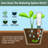 Edge Collections Watering Can