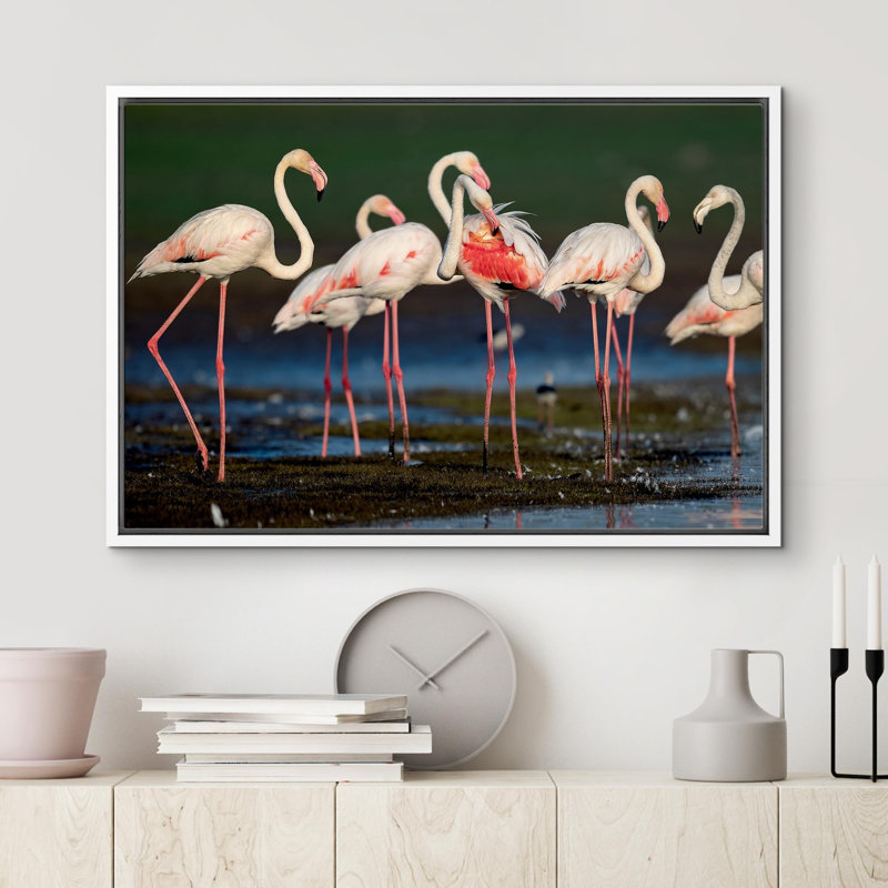 Flamants roses vibrantes, safari et jungle, H 16 po x l 24 po x P 1,5 po, Cadre blanc