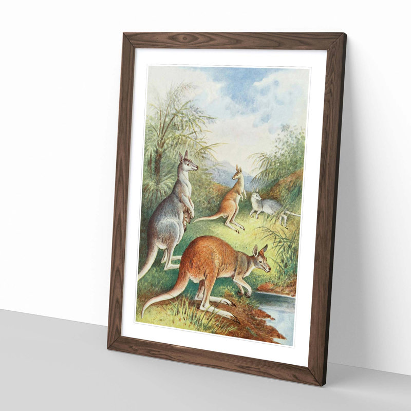 Vintage Kangaroos by Alexander Francis Lydon - Framed Print, Walnut