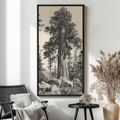 Vintage Pine Tree Drawing Classic Country Rustic Artwork - Extra Large Framed Wall Art Canvas Print