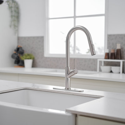 Single Handle Pull Down Sprayer Kitchen Faucet