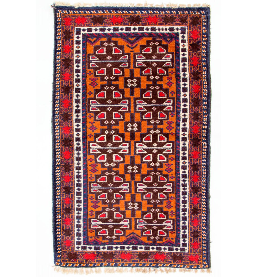 Colerane Hand Hooked Wool Orange Indoor/Outdoor Rug