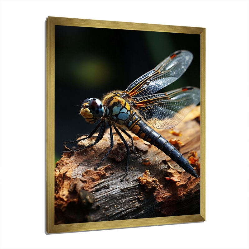 «Brown Dragonfly Portrait Vibrant», reproduction d'art sur toile, H 44 po x l 34 po x P 1,5 po, Encadrement doré