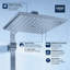 Euphoria Rain Fixed Shower Head