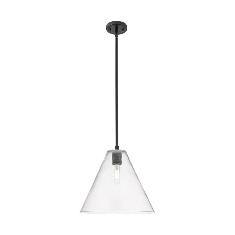 Kehlani - Luminaire suspendu 1 tige Berkshire, H 38,75 po x l 12 po x P 12 po, Noir mat