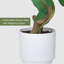 Ficus artificiel en pot décoratif blanc pour la décoration intérieure de la maison et du bureau