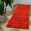 Aanuoluwa Shag 80cm X 150cm Area Rug-709357258