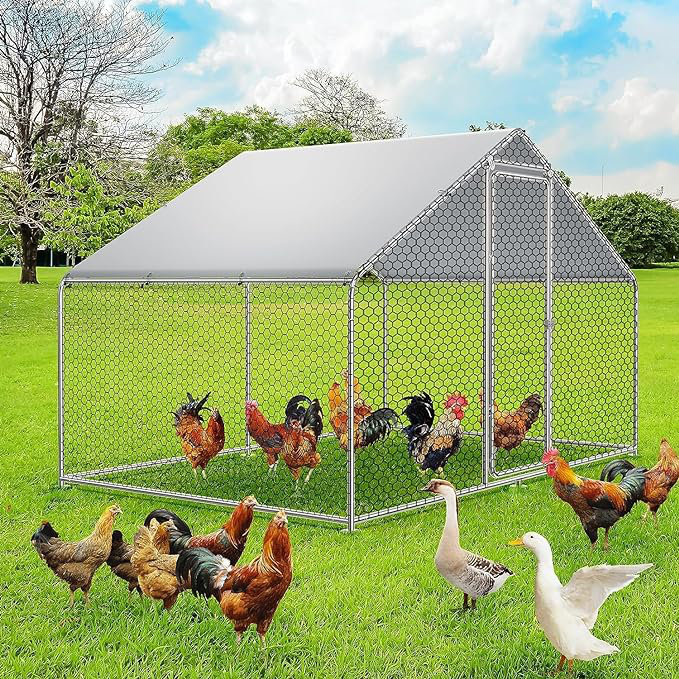 Grand poulailler en métal pour 6/10 poulets, poulailler / poulailler, poulailler pour la cour