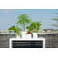 Outdoor White Fiberstone Pot
