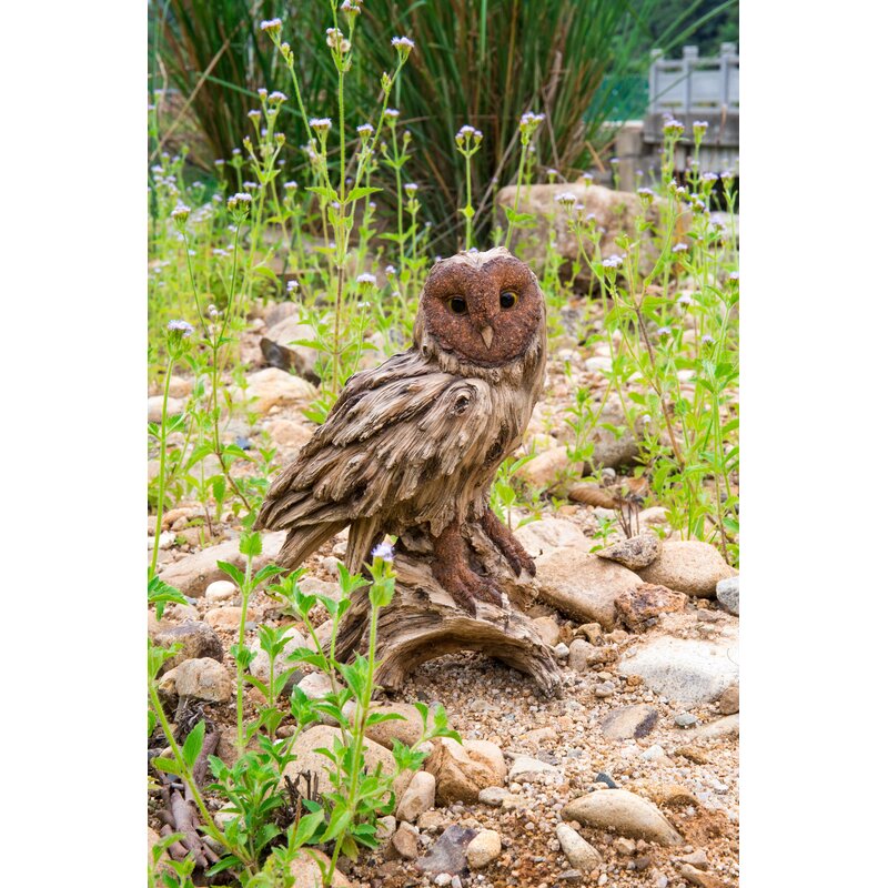 Hi-Line Gift Ltd. Driftwood Barn Owl On Stump Statue & Reviews | Wayfair