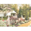 En pleine floraison MCG-MF183-593514559