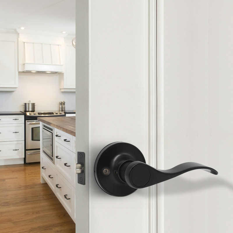 Door Lever, Black, Double Dummy