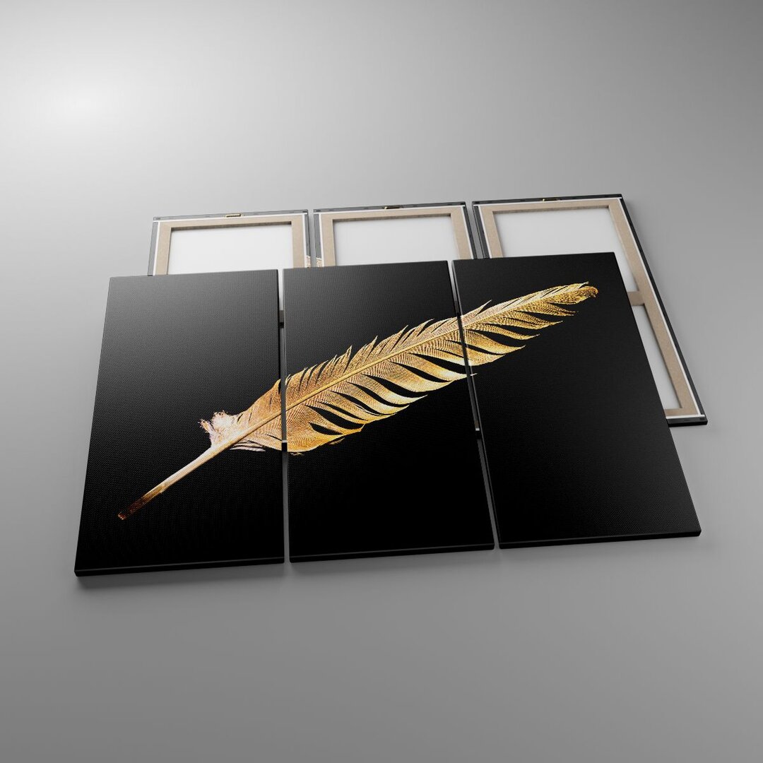 3-tlg. Leinwandbilder-Set Golden Feather Black