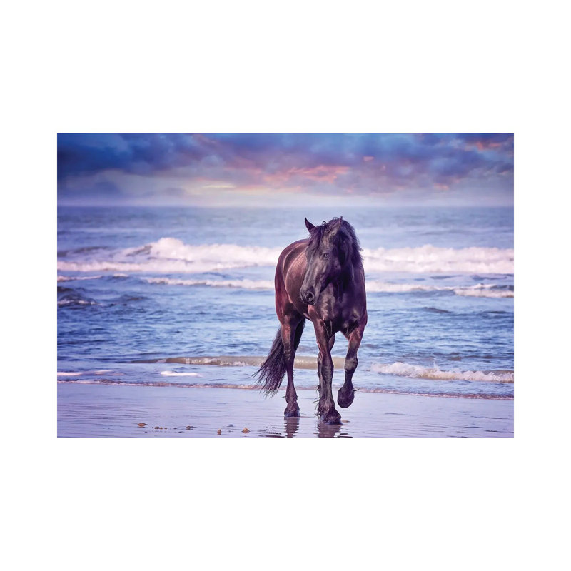 Running In The Sand I by PHBurchett - Wrapped Canvas Print, 20.32 cm H x 30.48 cm W