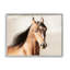 «Stupell Industries Brown Stallion Portrait», art de la giclée par Kari Brooks-93854582-93843008