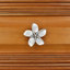 Poignée Plumeria-39948783-126755984-104672779