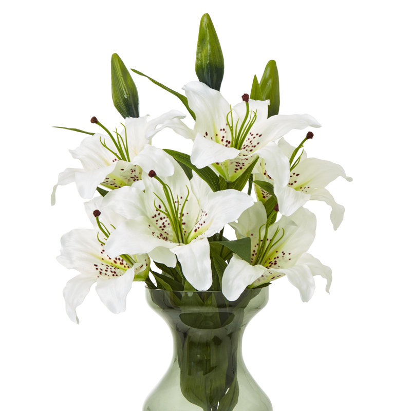 Anastasija Arrangement