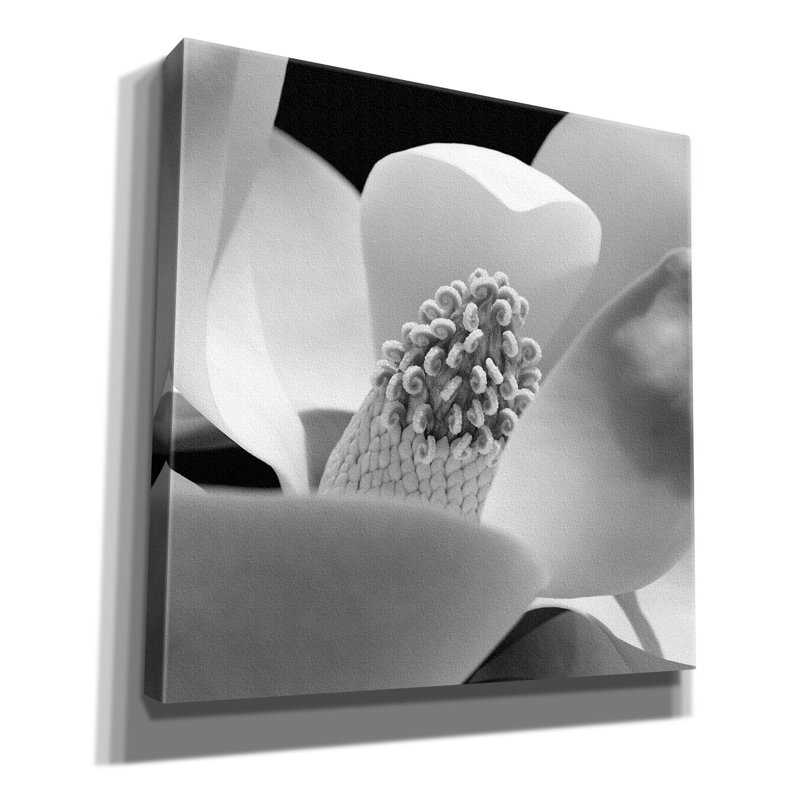 Fibonacci 1 par PhotoINC Studio, H 37 po x l 37 po x P 1,5 po