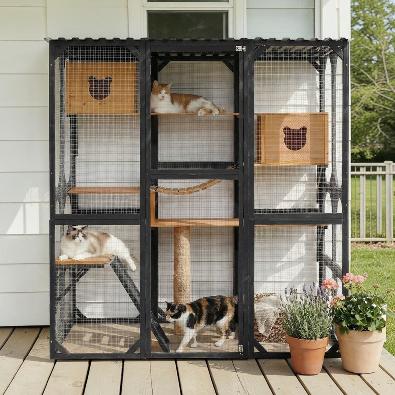Enceinte pour chat multi-niveaux en bois pour l'extérieur, grande cage pour chat avec maisons pour chat, poteau à griffes et plateformes