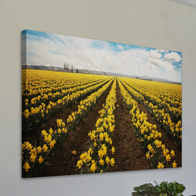 Sylvia Cook - Wrapped Canvas Painting, 101 cm H x 152 cm W x 3.81 cm D