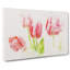 Beautiful Pink Tulips - Wrapped Canvas-56657570
