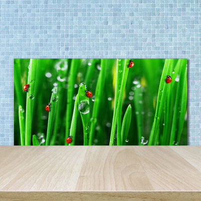 Linhchi 50cm W x 100cm L Glass Peel and Stick Panel