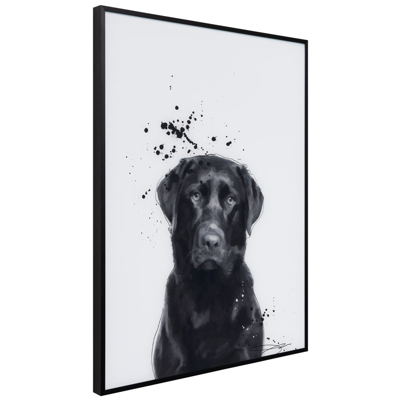 Labrador Retriever - cadre photo, impression sur verre