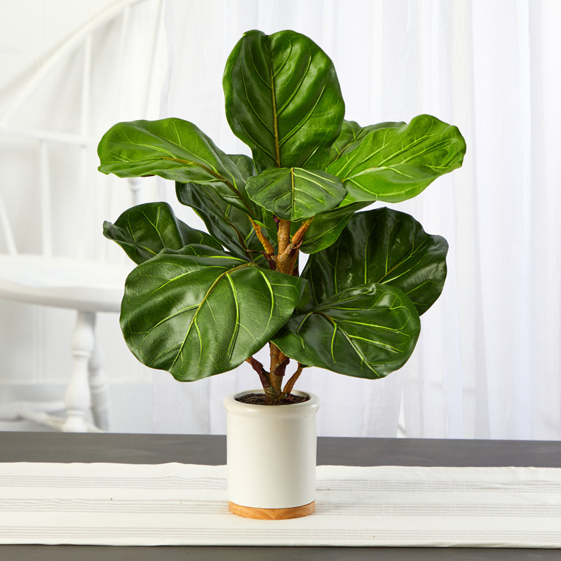 Figuier à feuilles artificielle en pot, H 21 po x l 12 po x P 12 po