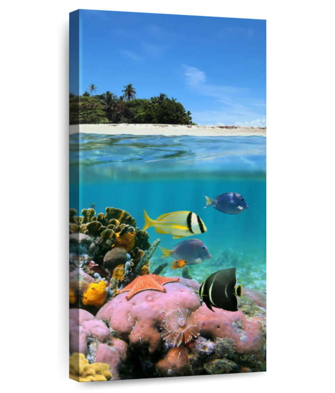 Nicaraguayen Sea Life, H 48 po x l 24 po