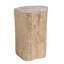 Signature Designs Trunk Segment Accent Table-24383365