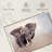 Brampt Young Savanna Elephant-108697085