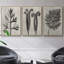 Blossfeldt Botanical I 3 pièces-97758448-97758449