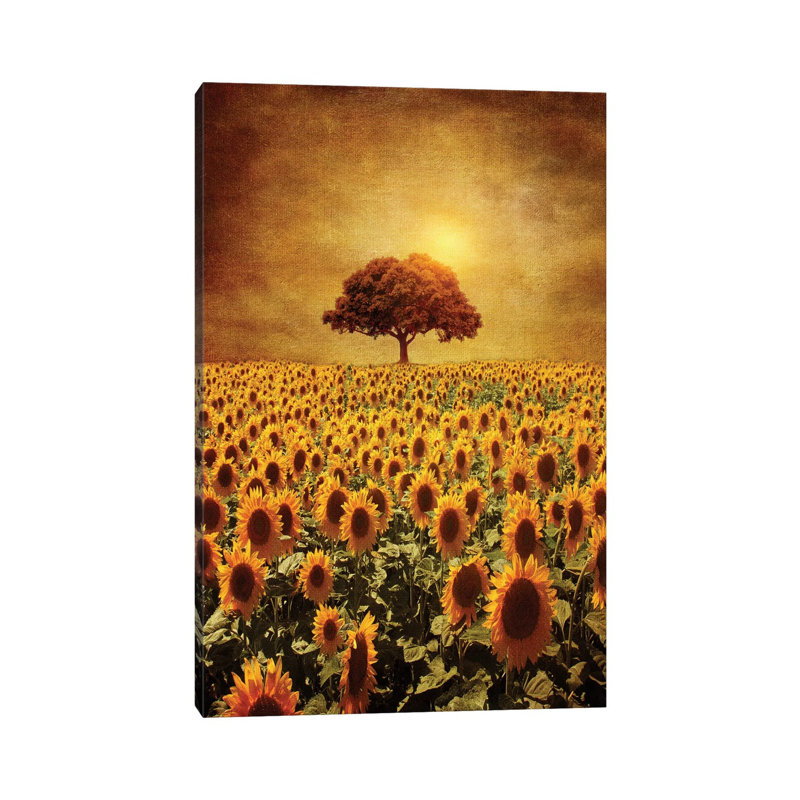«Lone Tree and Sunflowers Field» par Viviana Gonzalez - impression d'art graphique, H 18 po x l 12 po x 1,5 po, Toile tendue