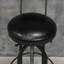 Salzmann Swivel Adjustable Height Counter Stool with Metal Frame-1940111795