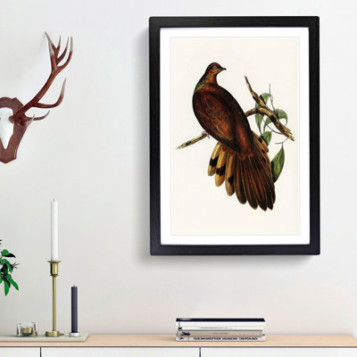 Pheasant-Tailed Pigeon by Elizabeth Gould - Picture Frame Painting Print