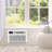10,000 BTU 230V Through-the-Wall Air Conditioner with Remote Control