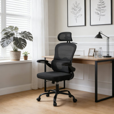 Latitude Run Office Chair