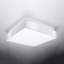 Taron Flush Mount-1733969080-1718602422