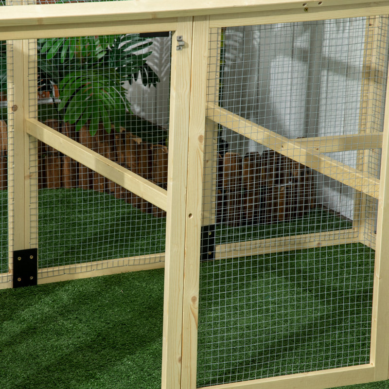 Chicken Cage